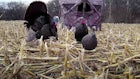 Wild Turkey Video: Rarely Seen Reverse Camera Angle of Bow and Gun Shots on Gobblers