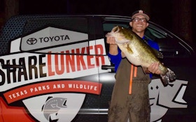 Two 13-Plus Pound Largemouth Bass Recently Loaned to 2019 Texas ShareLunker Program