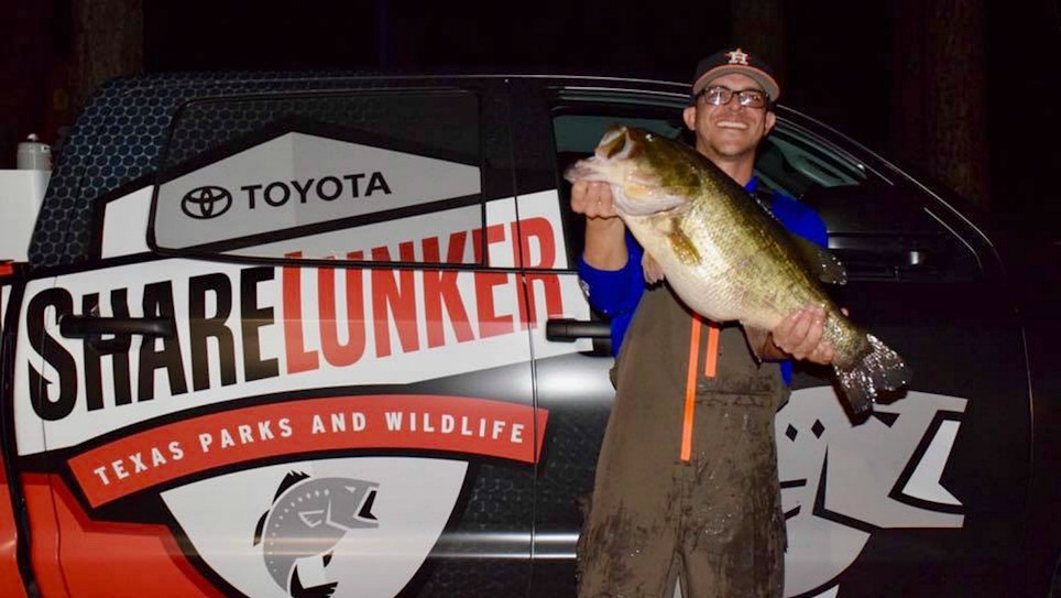 Two 13-Plus Pound Largemouth Bass Recently Loaned to 2019 Texas ShareLunker Program