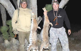 Top Night Hunting Tips for Predators