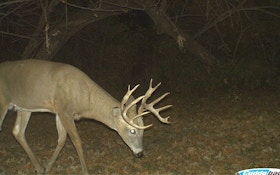 Busting 4 Whitetail Hunting Myths