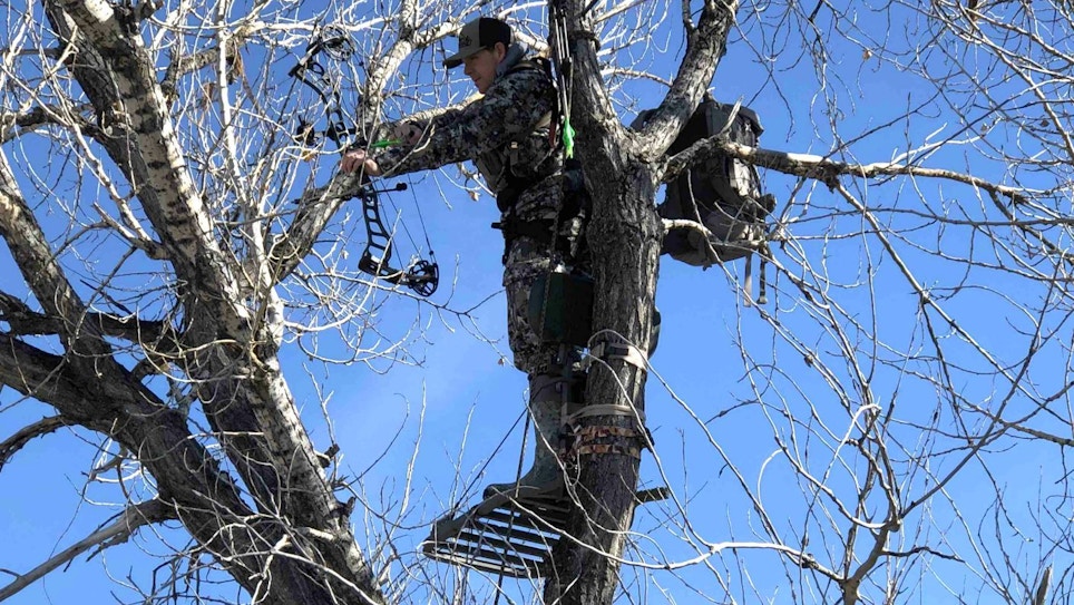 Take to the Trees for December Muleys