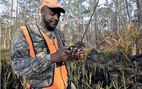 Test Your Knowledge About Treestand Safety
