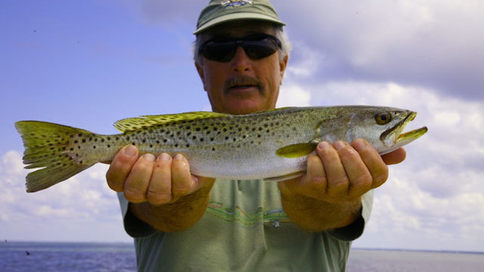 The Hunt For Speckled Trout