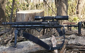 Best Airgun Rifles for Hunting Urban Predators