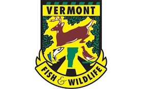 2 charged with poaching deer in Vermont