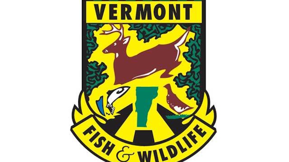 2 charged with poaching deer in Vermont