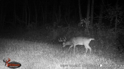  Trail cameras can provide us with the confidence that deer are in the area, but they can also falsely lead us to believe deer are not there, when truthfully they are. That’s why trail cameras work well as a supplement, rather than a tool that’s relied on entirely.