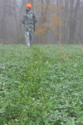 Follow the label when mixing and applying herbicides and you will soon be the proud owner of a weed-free food plot.