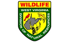 New West Virginia Game Checking System Tallies Early Numbers