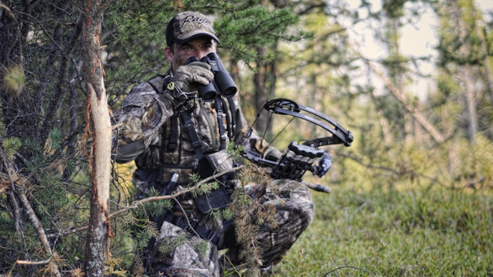 A Persistent Approach To Bowhunting Whitetails Equals Consistent Success