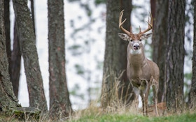 2018 report: deer hunting trends