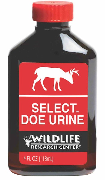 Wildlife Research Center Select Doe Urine will attract curious bucks and does from opening day until the close of archery deer season.