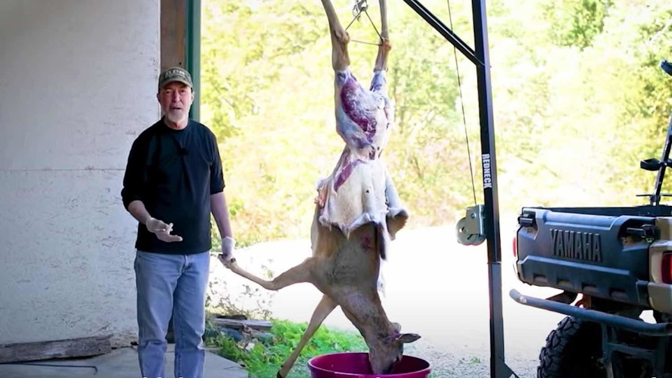 Video: How to Skin a Deer