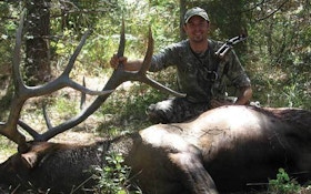 Work the elk to set up your best shot