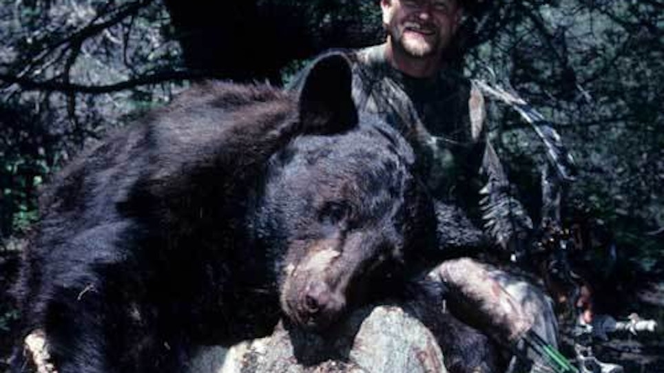 DIY black bear hunting; Looking for a bear? Follow the food