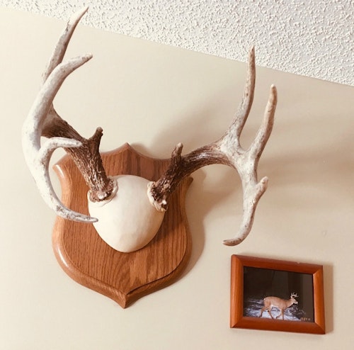 Framed trail cam photos are also a welcomed addition to any trophy display.