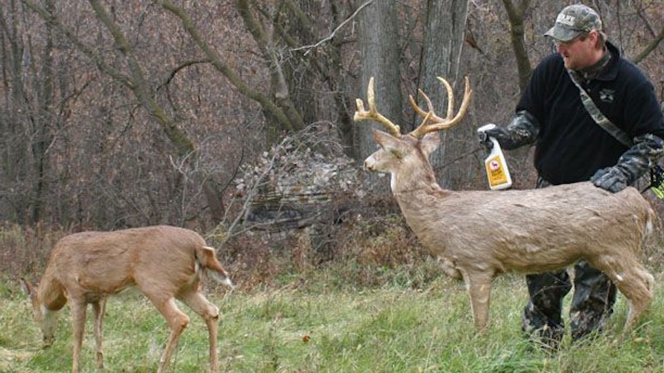 Advanced Stand Hunting Strategies—Part 1