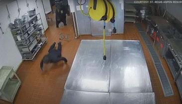 Security Cam Video: Massive Black Bear Knocks Down Hotel Security Guard