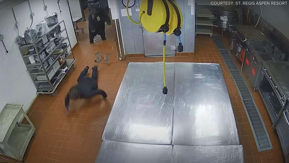 Security Cam Video: Massive Black Bear Knocks Down Hotel Security Guard