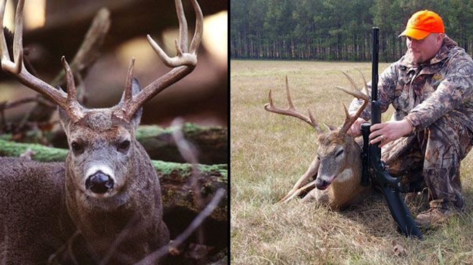 Beat The Crowds For Better Deer Hunting