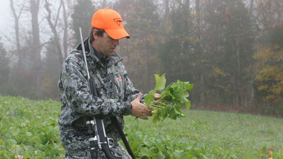 Hunting or Nutrition: Not All Plants Are Created Equal—Part 2