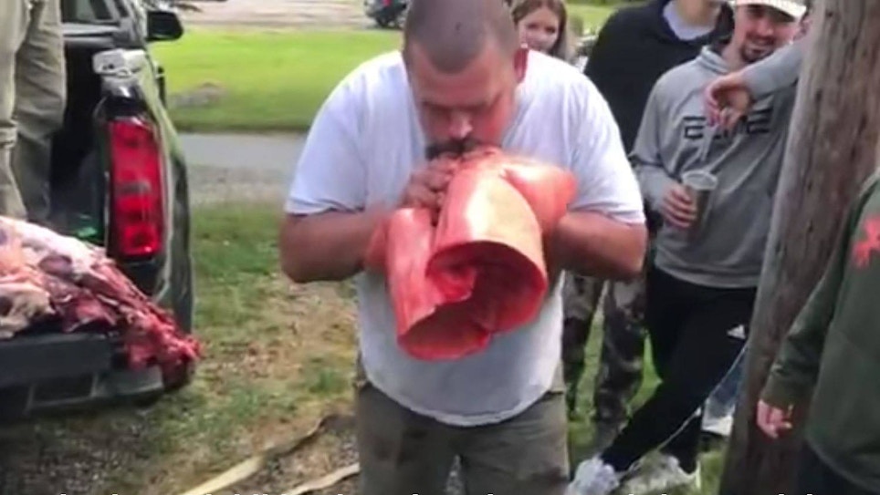 Video: Hunting Guide Blows Up Bear Lungs Like a Balloon