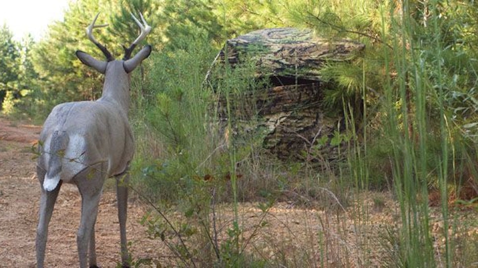 Blind Spots for Whitetails