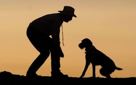 "What The Dogs Taught Me" Offers Great Tips For Dog Hunters