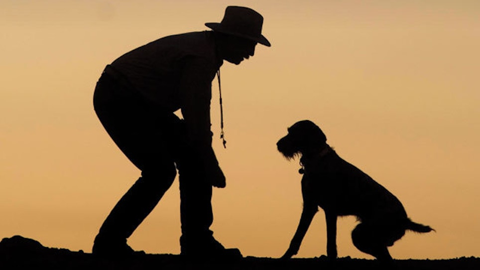 "What The Dogs Taught Me" Offers Great Tips For Dog Hunters