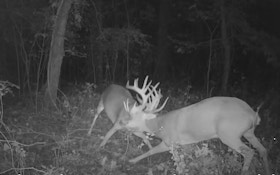 Trail Cam Video: Lengthy Battle by Two Monster Whitetails