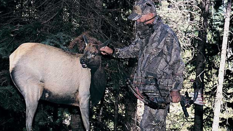When your normal elk hunting tactics fail, try these—part I
