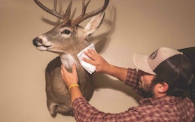 How to Care for Taxidermy Mounts