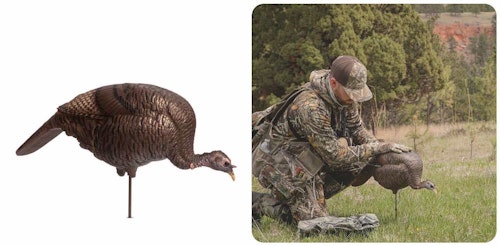 A feeding hen decoy, such as this one from Dave Smith Decoys, can lure in a gobbler that isn’t aggressive enough to confront a jake or tom decoy.