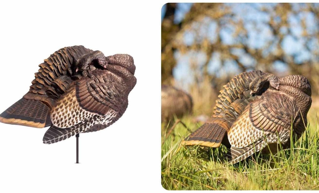 Video: DSD Preening Hen — A New Take On ‘Confidence Decoys’ for Wild Turkeys