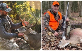 By the Numbers: Private vs. Public Land Whitetails