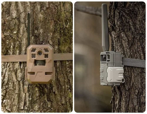 Moultrie Mobile Edge (left) and SpyPoint LM2 (right)