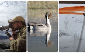 Video: The Fascinating Story Behind the 2023 Federal Duck Stamp Contest Winning Entry