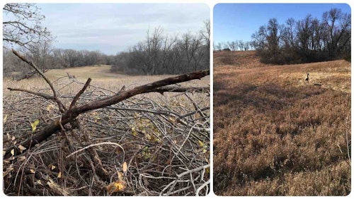 The author often uses a doe decoy placed near the sanctuary with hopes of luring a rutting buck from the thick cover during shooting light. In the left photo, you can see the north edge of the sanctuary. The east edge of the sanctuary is shown in the right photo.
