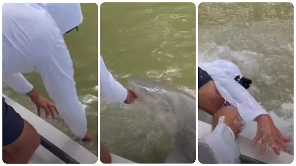 VERY Scary Video: Shark Bites Angler’s Hand, Pulls Him From Boat