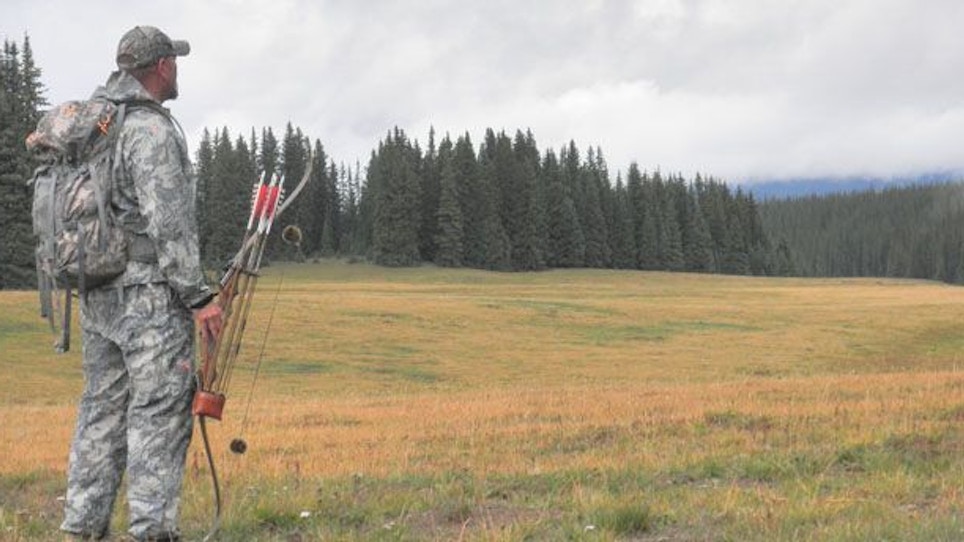 Colorado Public Land Elk Hunting Diary