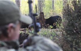 Three Ways To Hunt Black Bears
