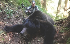 ​Alaska Brown Bears — With a Bow?