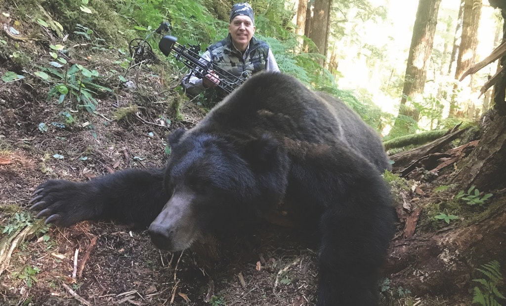 ​Alaska Brown Bears — With a Bow?