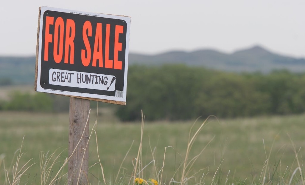 Lease or Buy Your Next Hunting Property?