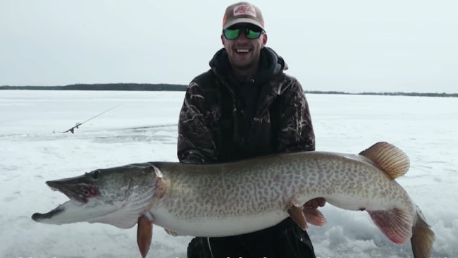 Must-See Video: Monster 55.25-Inch Muskie Caught Through the Ice