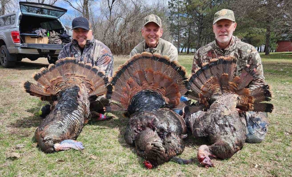 Wild Turkey Bowhunters: Top 3 Reasons to Shoot for the Head or Neck