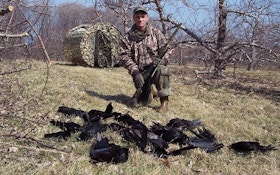 How Crow Hunting Helps