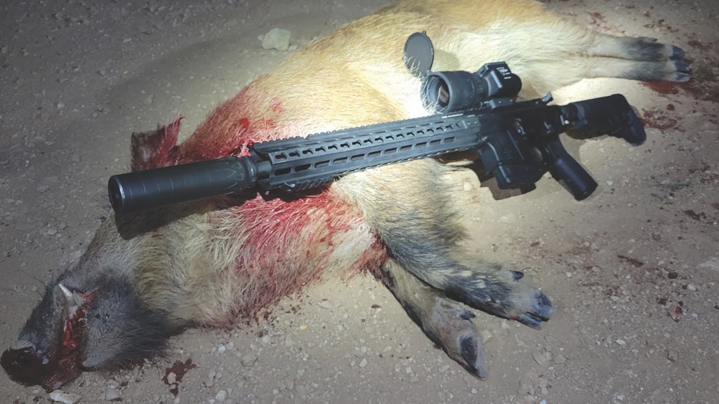 One of many hogs taken at night with a pig-rig rifle scoped with the new Trijicon IR-Hunter thermal sight.