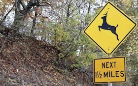 5 Key Reasons You’ll Hit a Deer With Your Vehicle — This November!